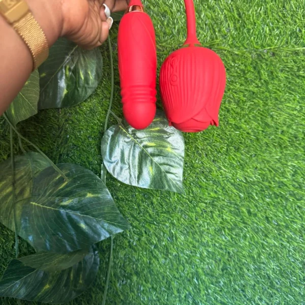 WhatsApp Image 2025-11-19 at 22.44