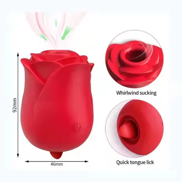 WhatsApp Image 2025-11-25 at 15.55