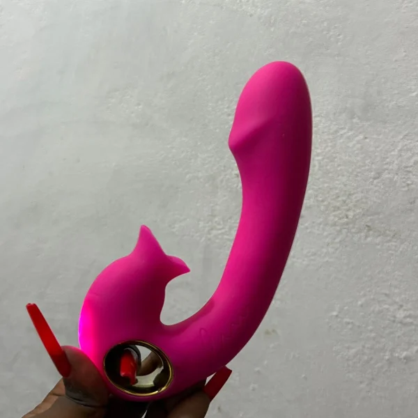 WhatsApp Image 2025-11-25 at 17.12